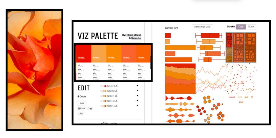 tmrhyne's tweet photo. A Yellow Orange Rose Image-> into Viz Palette  #Elijah_Meeks #DataToViz #IEEEVIS #dataviz #infovis #colortheory #VisualAnalytics #color  #siggraph #IEEECGA #DurhamCountyLib #AdobeCreative #sigchi #Colourlovers #colourlovers #pantonestudio https://t.co/JY0tXsRzcU