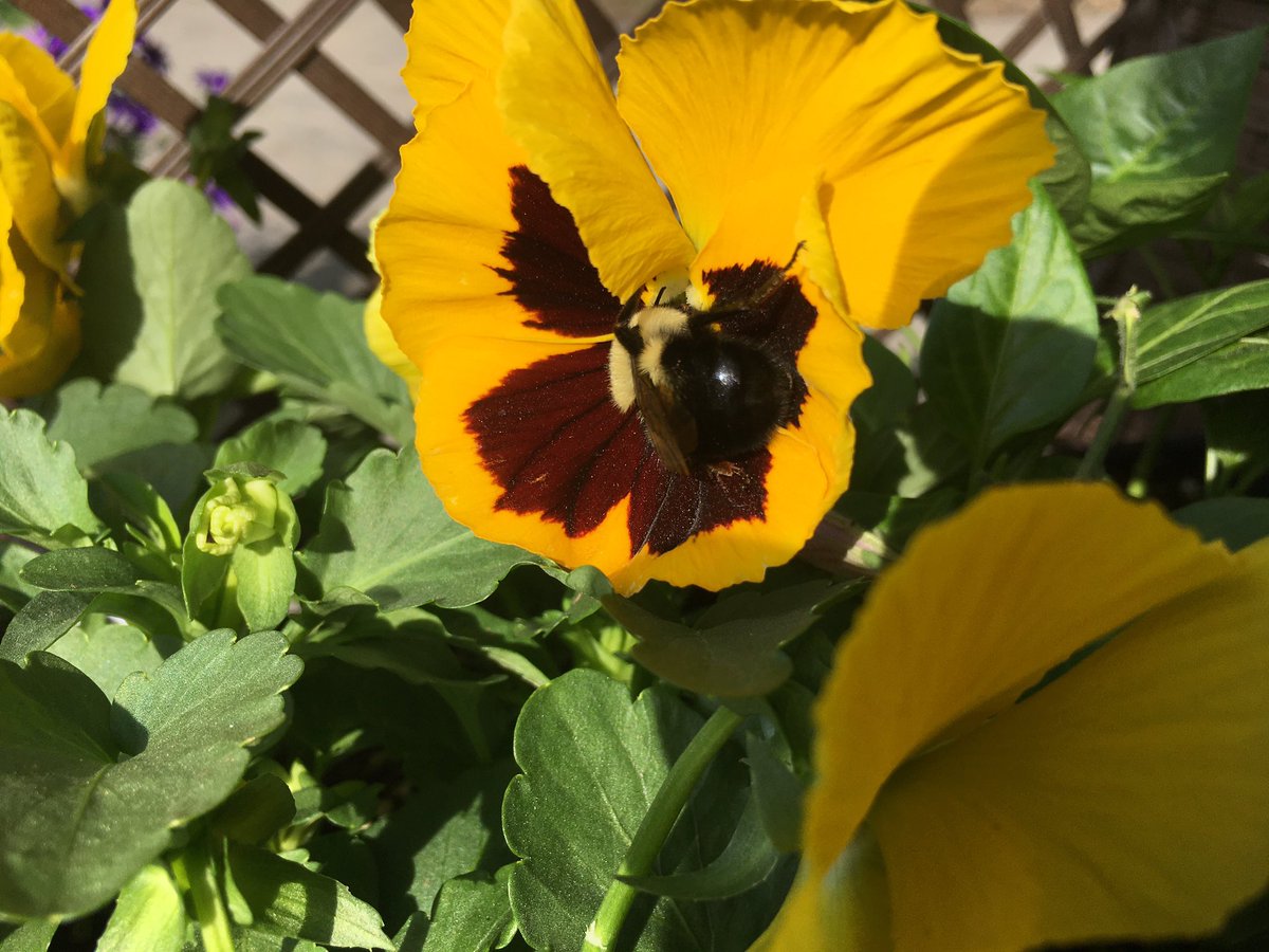 Tango!! 🍊🧡 tweet media