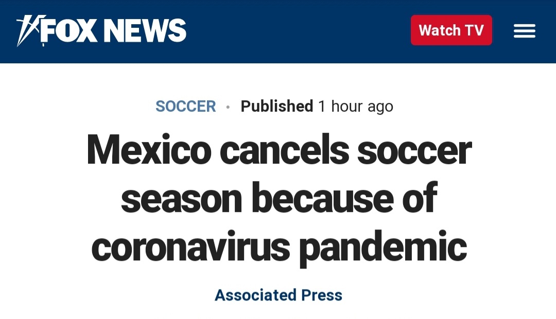 Kaitlin Bennett tweet media