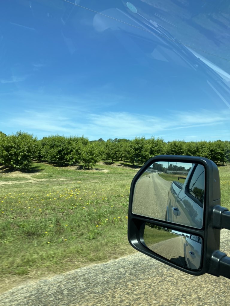 MPlumblee's tweet photo. Got to love living near peach country.  #therealpeachstate https://t.co/juJSClup8r