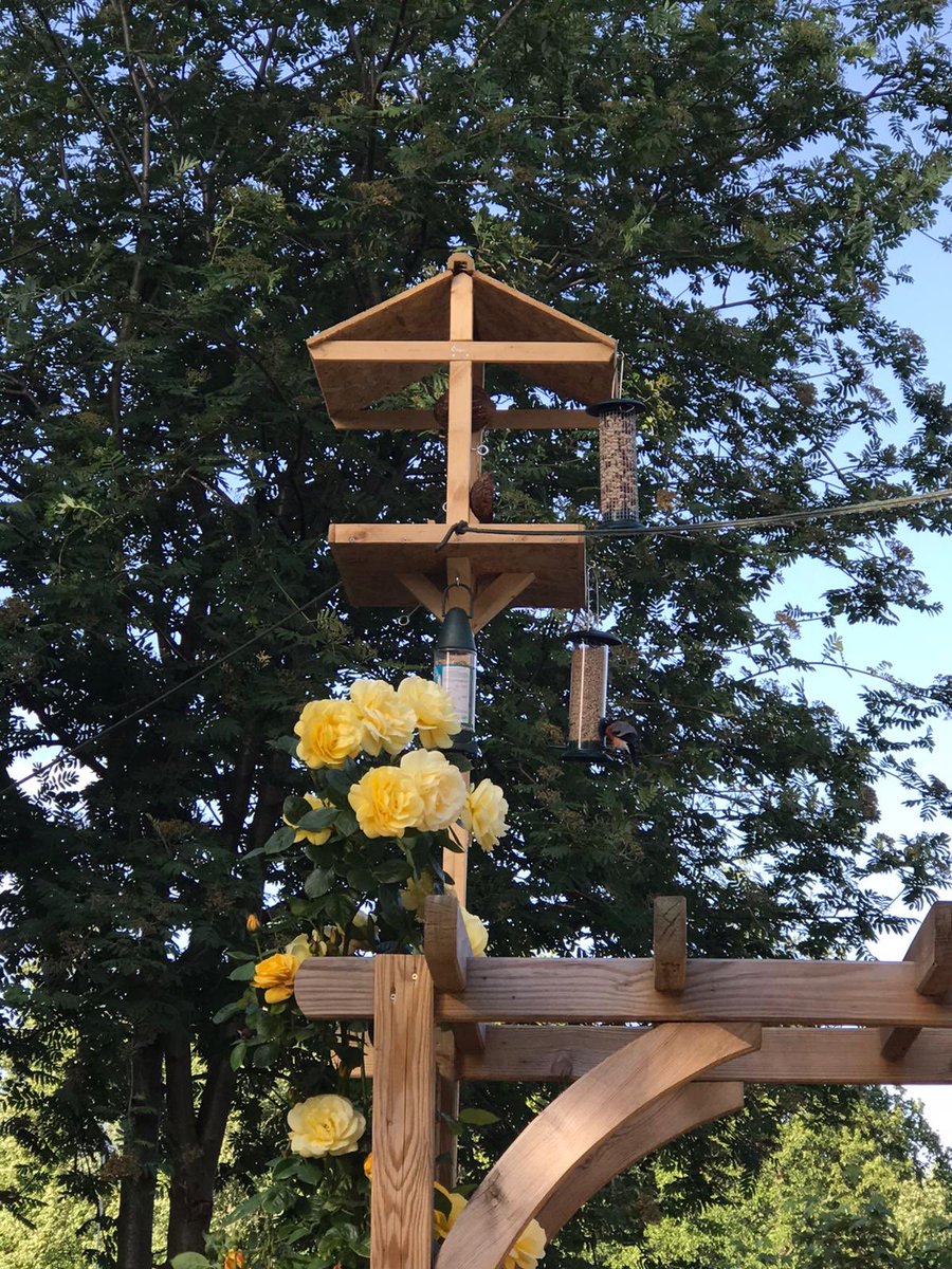jodybuxton's tweet photo. @StPatricksRCTho Erin spotted a bullfinch bird on the bird table she made with her dad #naturelockdownprojects https://t.co/YBS2Jz9P9U
