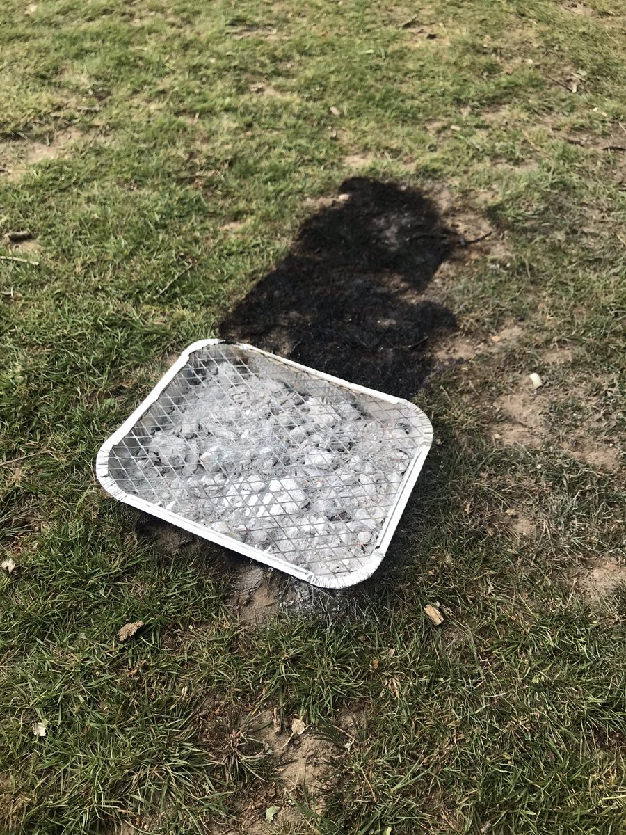Disappointed to see people are still having barbecues despite the fire warnings. Found these abandoned but still smouldering at Balmer Lawn. Others dealt with at Linford Bottom and Cadmans Pool to name a few 😔