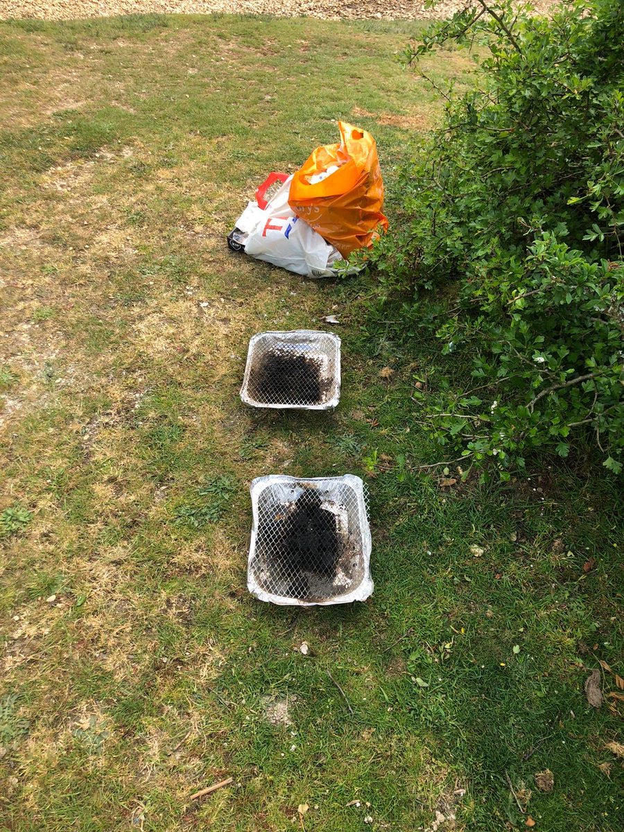 new forest ranger tweet media