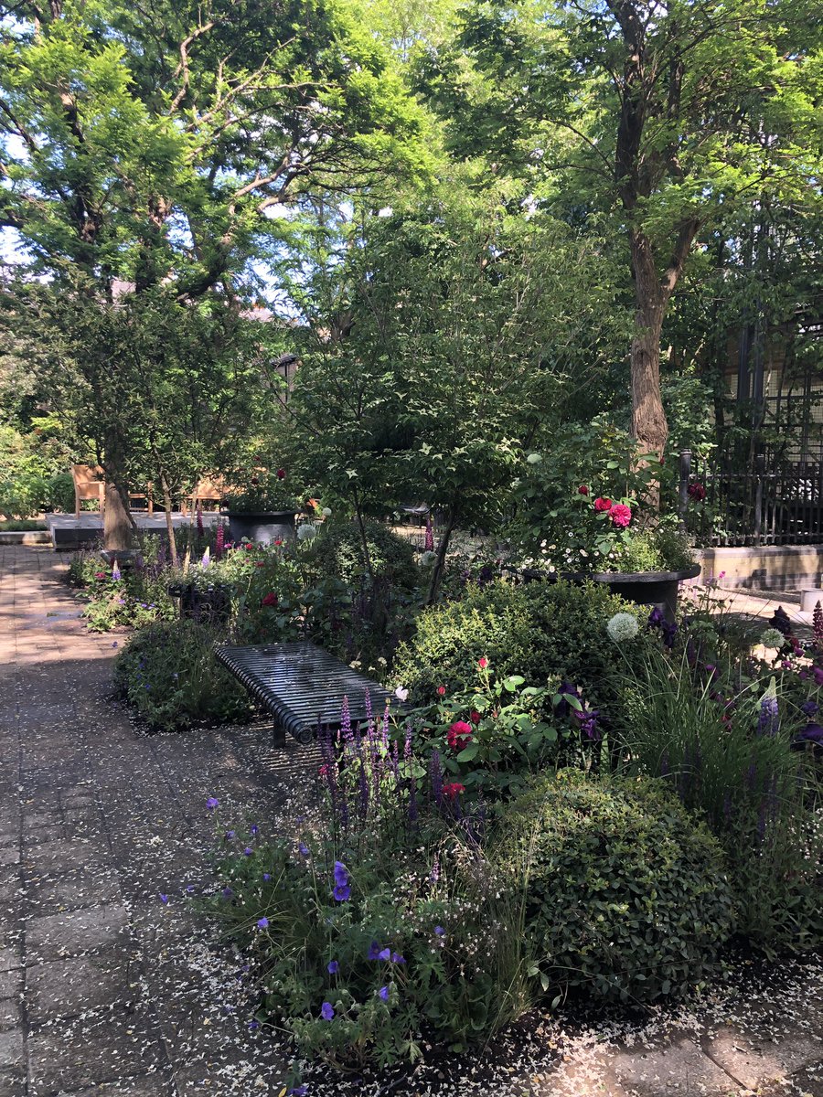 This Stunning Garden was meant to be one of the show gardens at the Chelsea Flower Show this week but instead the Amaffi Perfum Garden was donated to the staff of Chelsea and Westminister Hospital. Enjoying the afternoon sun! <a href="/ChelwestFT/">Chelsea and Westminster Hospital</a> #AmaffiCWGarden