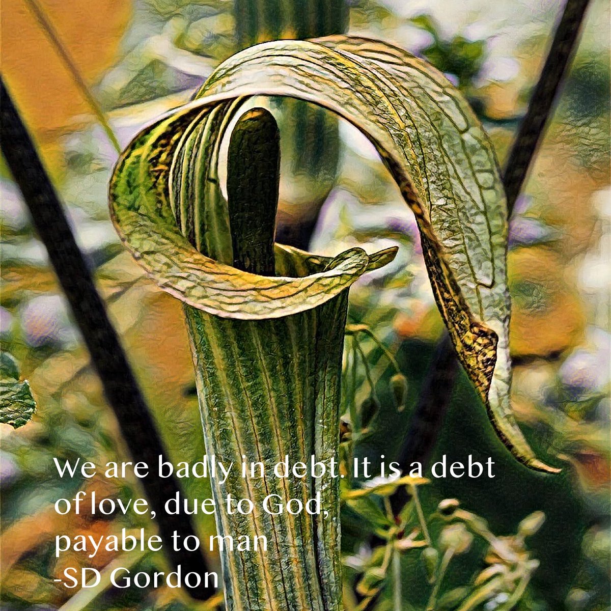 #debtors #bankrupt #giving #alms #gods love #bankrupt