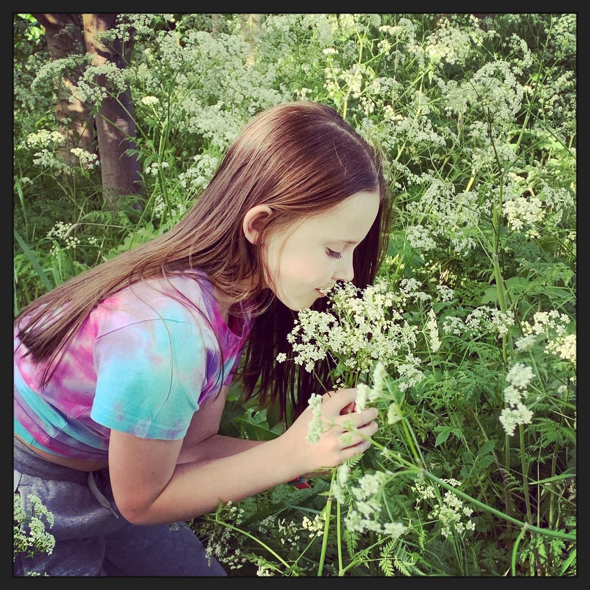 jodybuxton's tweet photo. @StPatricksRCTho Erin has been appreciating nature and growing seeds. She also had a visit from a hedgehog 😍 https://t.co/y2qH791Vi7