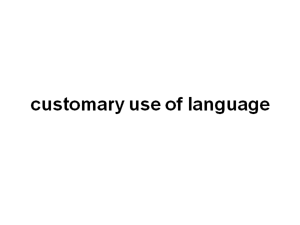 This is not to be confused with "grammar," which is a system rather than word choice.