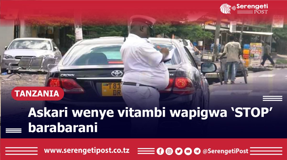 Serengeti Post tweet media