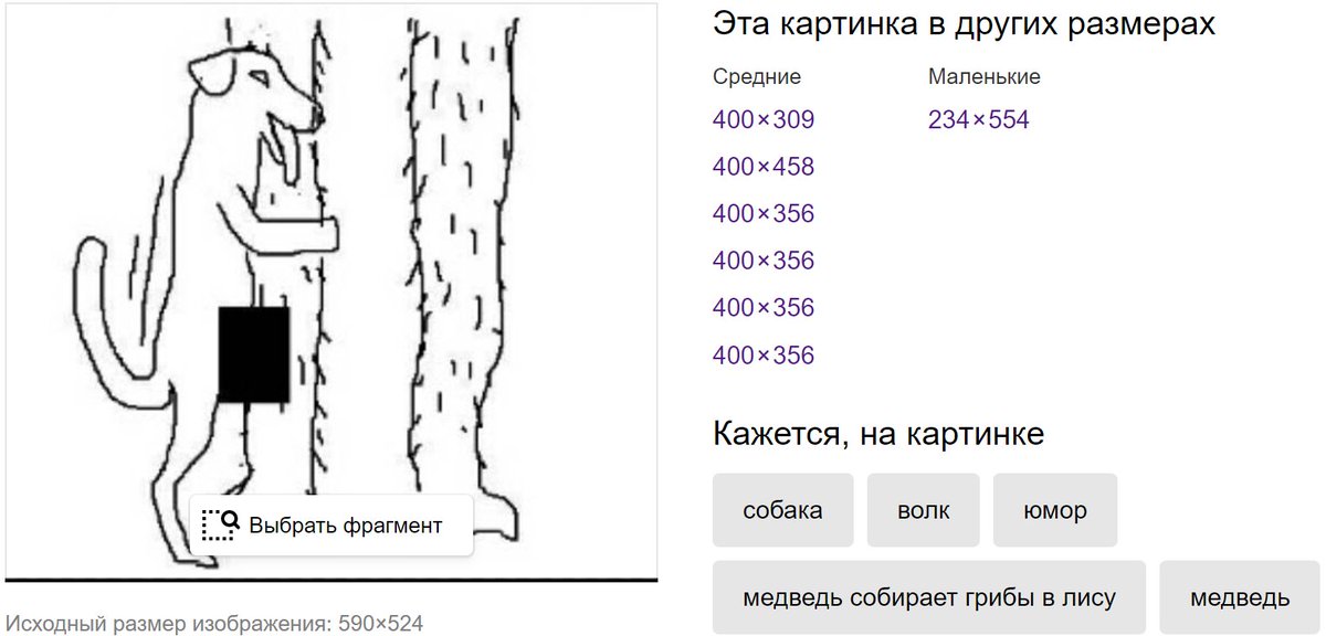 Медведь грибы в лесу