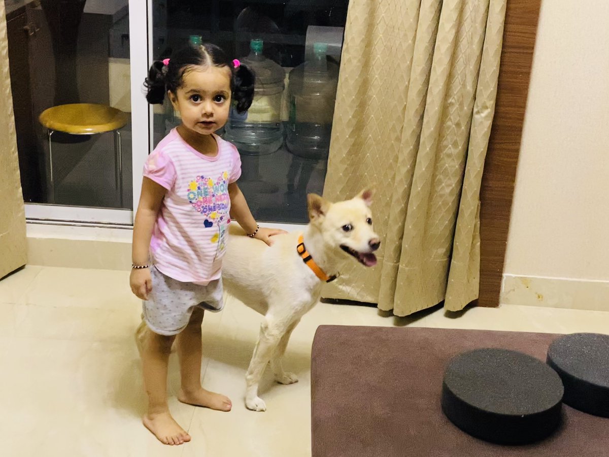 RaviRanjanIn's tweet photo. कैंडी हमेशा #Anika के साथ बड़े जैसा बर्ताव करता है। ये बेज़ुबान होते है लेकिन इनकी समझ का कोई मुक़ाबला नहीं । #TrueBonding https://t.co/CKMjbiteT2
