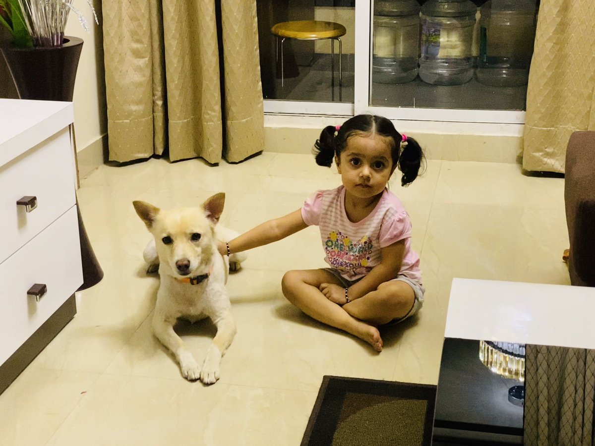 RaviRanjanIn's tweet photo. कैंडी हमेशा #Anika के साथ बड़े जैसा बर्ताव करता है। ये बेज़ुबान होते है लेकिन इनकी समझ का कोई मुक़ाबला नहीं । #TrueBonding https://t.co/CKMjbiteT2