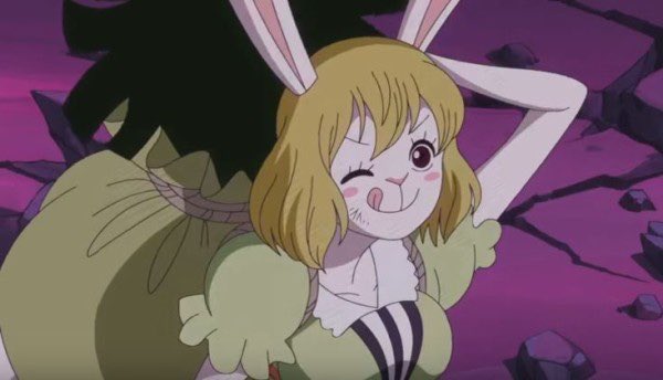 ワンピース キャロットがかわいいと話題 能力や声優についても紹介 Selvy