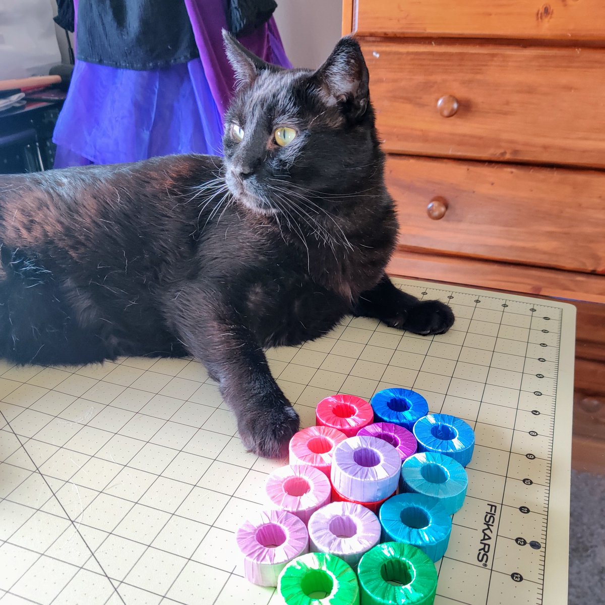 BlushWolfCrafts's tweet photo. Gam bam acting like he wasn't trying to throw the new pattern weights on the ground.
#Ganon #CatsOnTwitter #patternweights #crafturday #caturday https://t.co/TYWj2AaLMK