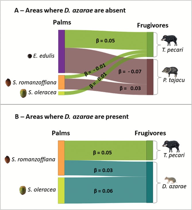 NachomanVillar's tweet photo. In our new paper published at @Mammalogists we illustrate how to use #occupancymodels to get context-dependent quantitative estimates of #trophicinteractions strength #functionalresponses useful to build #ecologicalnetworks #foodwebs https://t.co/HyRR7C2TLv https://t.co/Zk75673leE