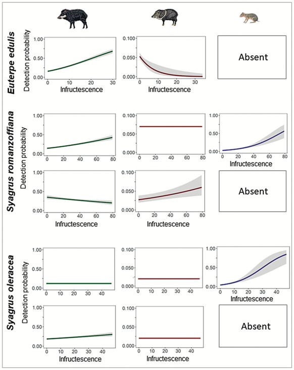 NachomanVillar's tweet photo. In our new paper published at @Mammalogists we illustrate how to use #occupancymodels to get context-dependent quantitative estimates of #trophicinteractions strength #functionalresponses useful to build #ecologicalnetworks #foodwebs https://t.co/HyRR7C2TLv https://t.co/Zk75673leE
