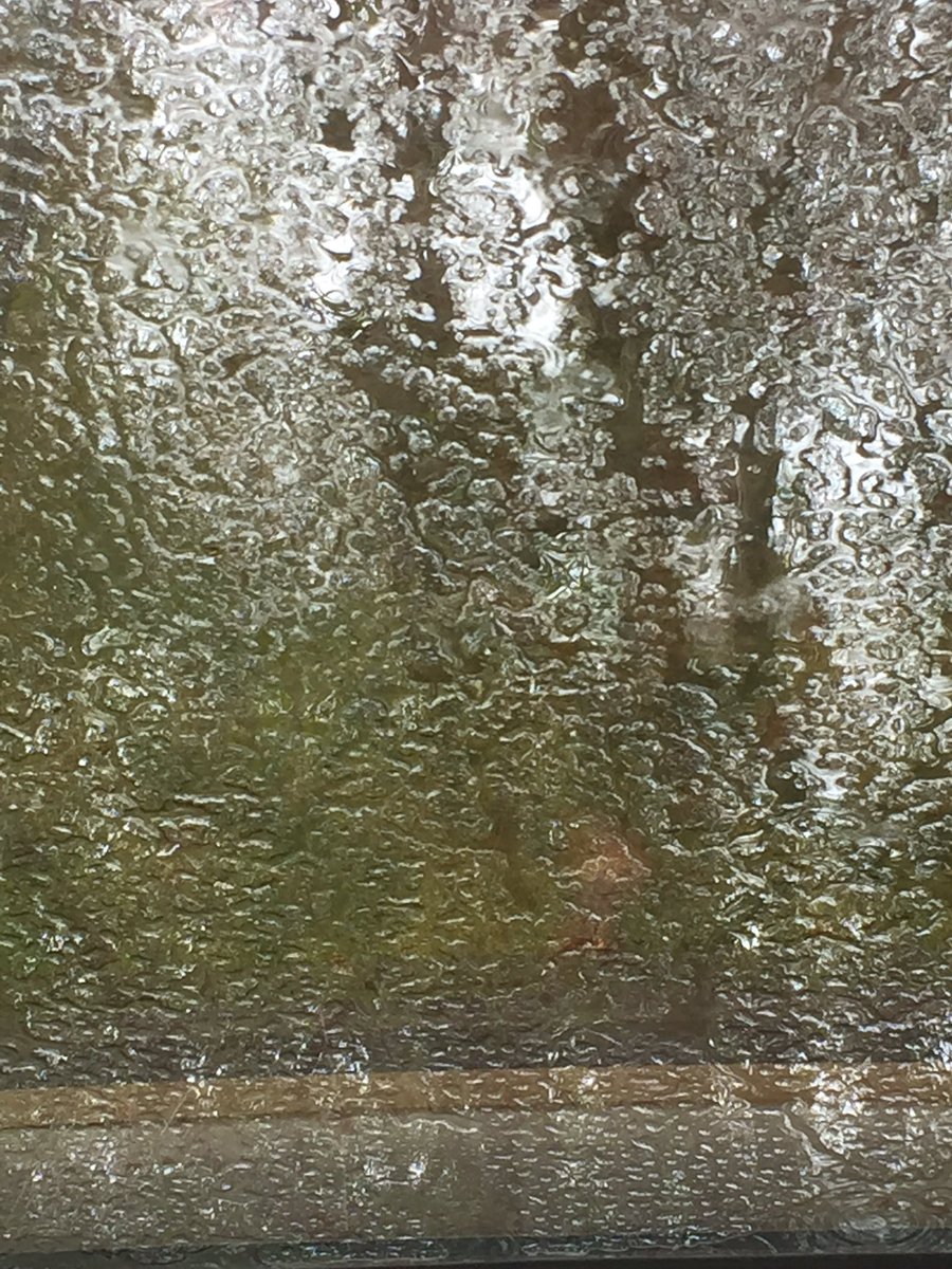 DK_Rodgers's tweet photo. Don’t let it rain in your parade!  Oh yeah... they are all cancelled!  #QuarantineLife Better safe then sorry, FIND something to do! #Saturday https://t.co/Yu9VoyXSgx