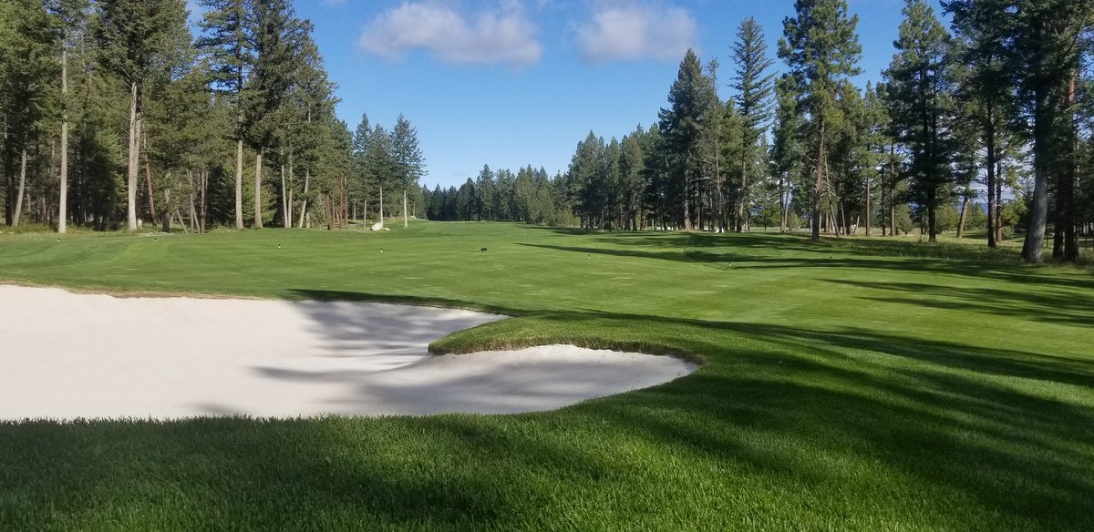 WildstoneTurf's tweet photo. It's a beautiful day for a game @WildstoneGolf #garyplayerdesign #golfkimberleycranbrook #golfbc #kootenays #kootenaygolf https://t.co/JEgOORJ8bY