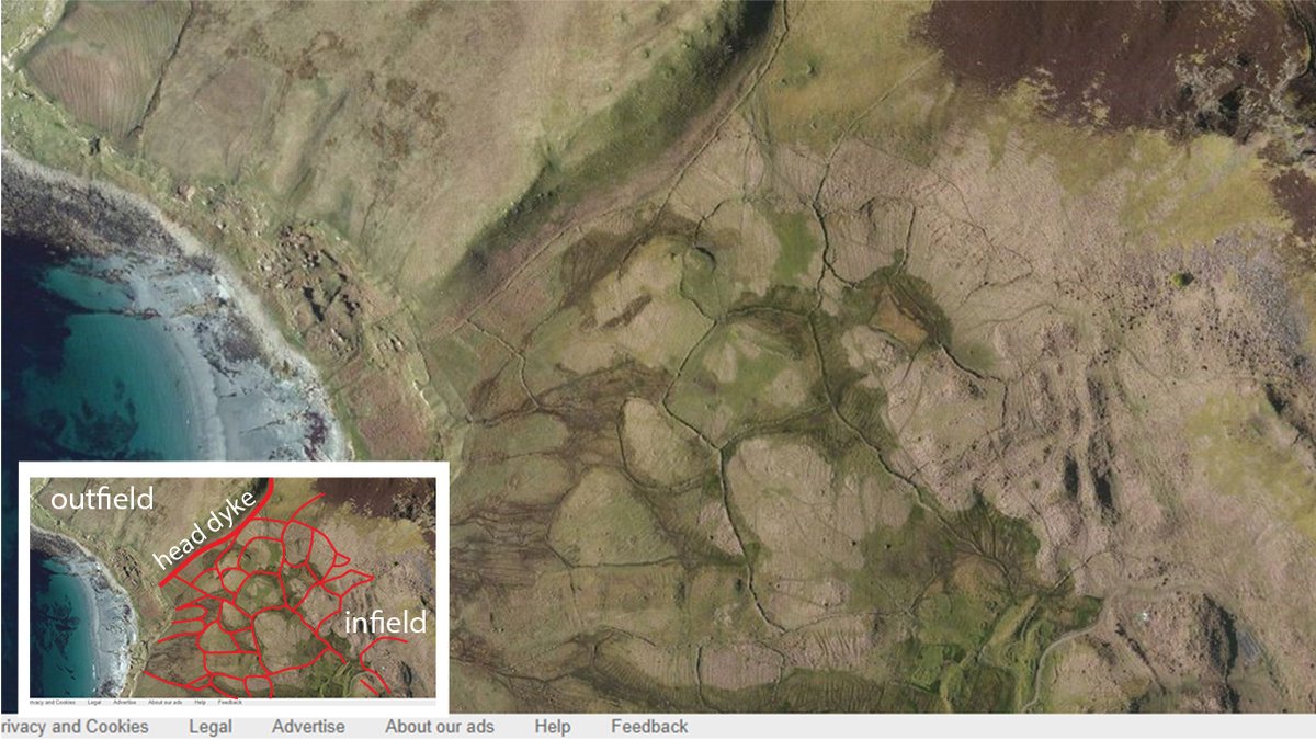 In areas more suited to a mixed system of agriculture an infield – outfield system develops. Infield, within a head dyke, globular fields develop, while common land in the outfield is used for seasonal grazing; the dykes and walls keeping animals away from valuable crops. 16/34