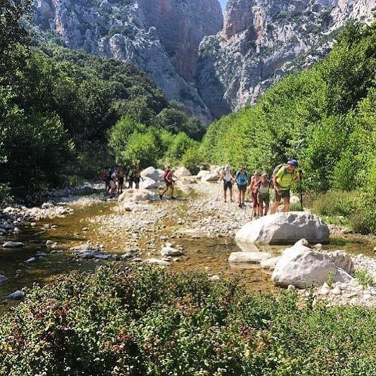 viaggiosardegna's tweet photo. Domenica 31 maggio torniamo qui con @saramuggittu per la prima escursione post Covid-19.
Visiteremo la gola di #Gorropu in tutta sicurezza e rispettando le prescrizioni.
Max 20 persone.
Ci sono già diverse iscrizioni, vi invitiamo per tanto a prenotare… https://t.co/8IOcYVoPra https://t.co/zBaFNLISPh