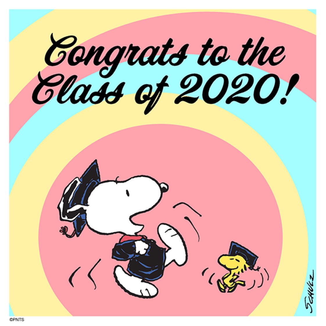 Peanuts_4Fans's tweet photo. Congrats class of 2020! 🎓 https://t.co/tKeSc8WVf9