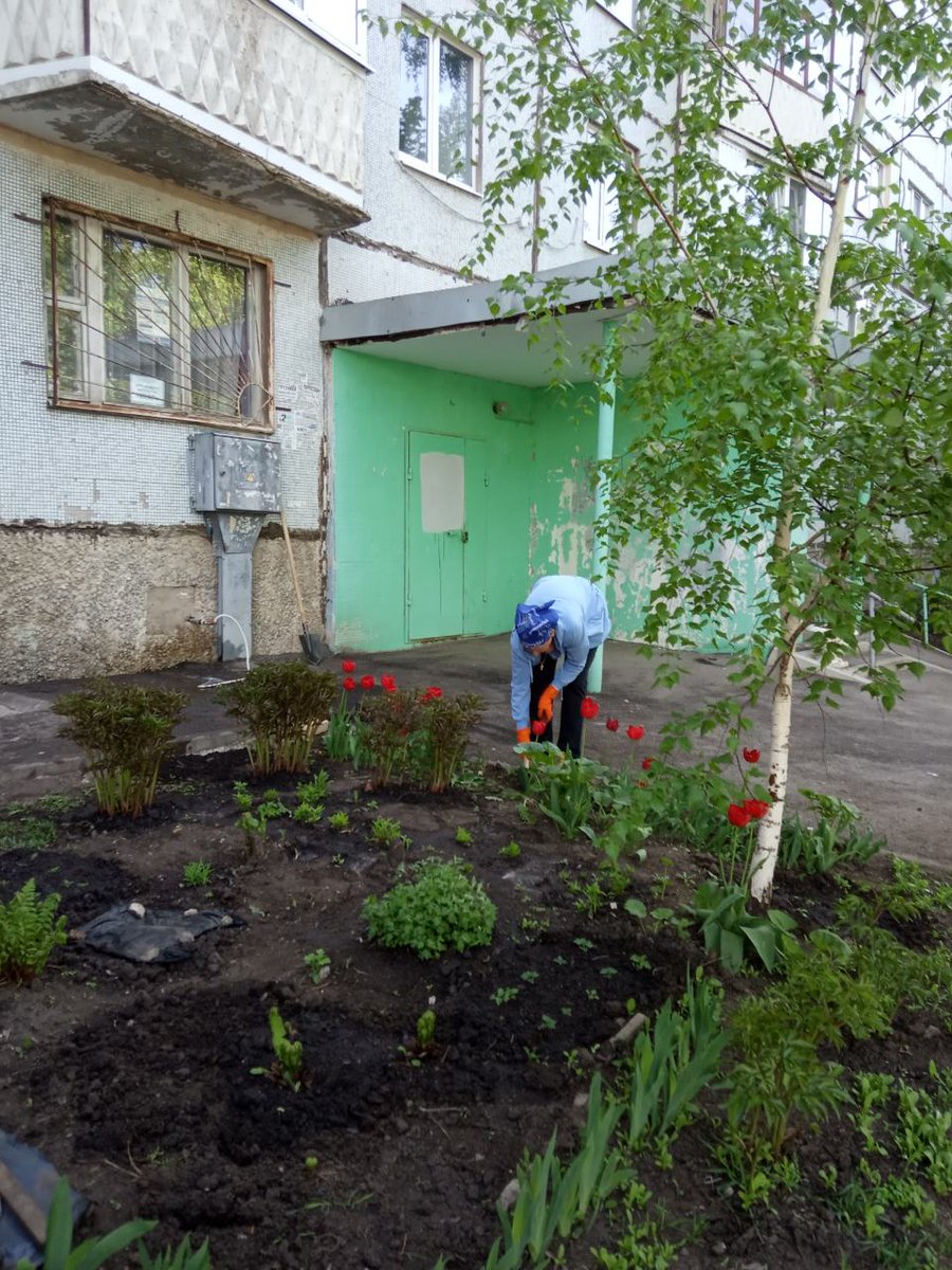 Благоустройсво на территории микрорайона продолжается, ТОС закупил кустарник, а ОСМ помогли с доставкой, огромное спасибо Алексею Васильевичу Добрусину, 
Винеру Мнировичу Кагирову. 🌾🌾🌾🌾
@PROMADM, @SEMENOV_A_S