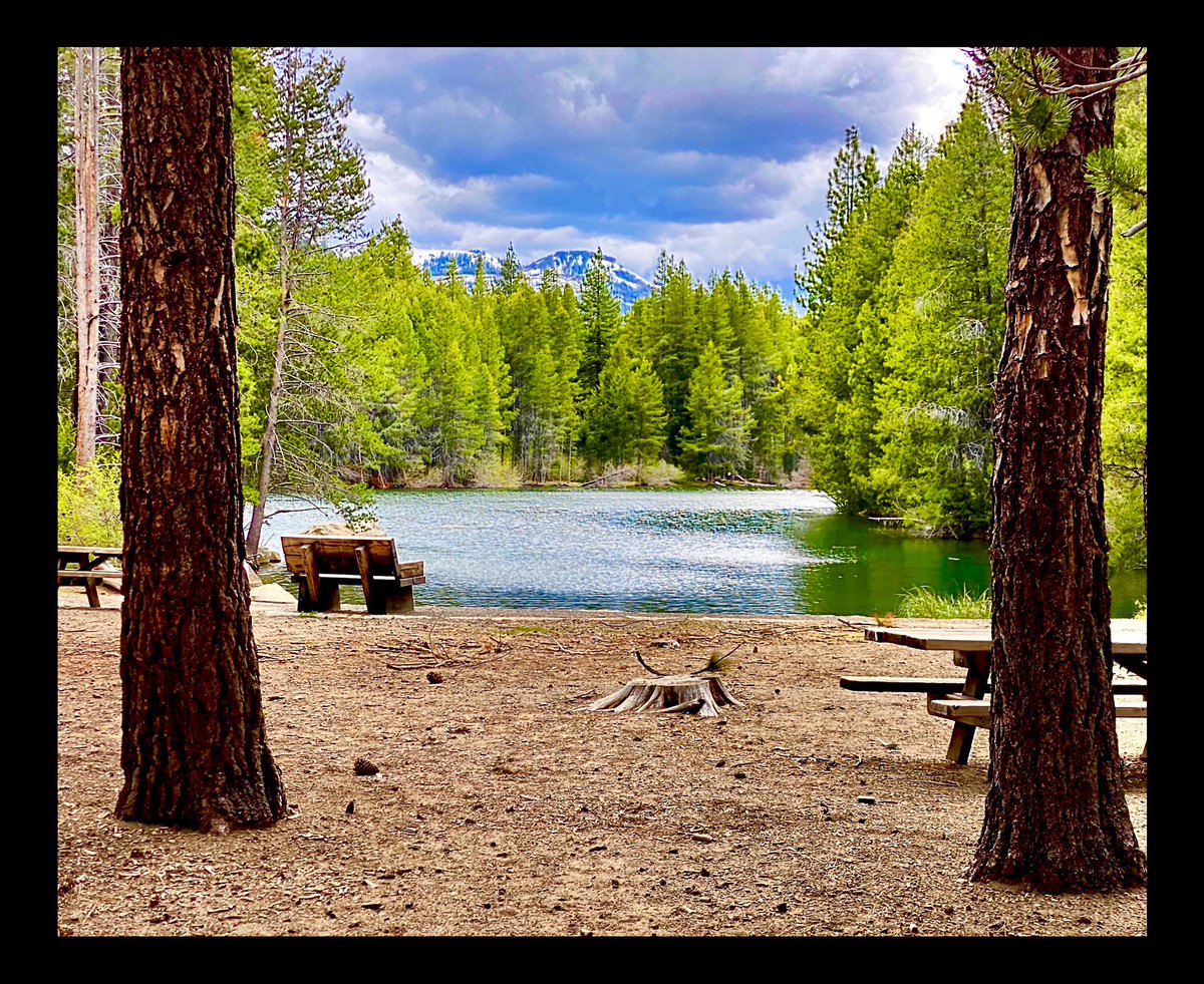 Create your own calm 💚 

📷 taken by me at Donner Lake 

#naturephotography #naturelovers #donnerlake #naturetherapy