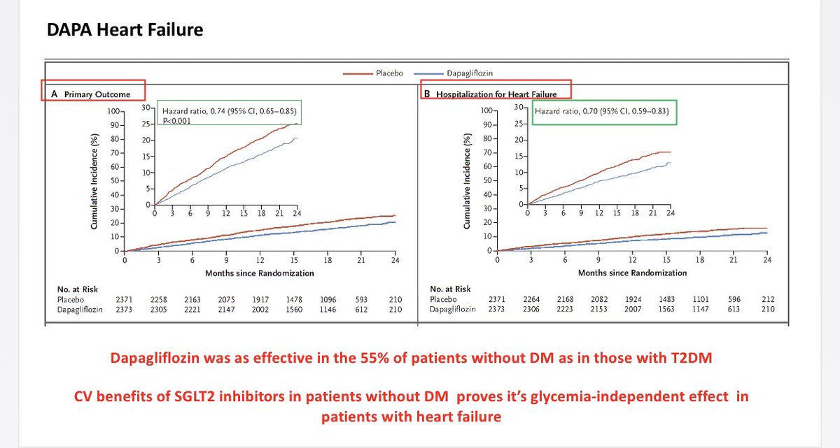 The beneficial effect of SGLT2i in heart failure patients has been seen in both Diabetic & Non-Diabetic patientsThe DAPA-HF trial proves that the cardiac benefits of SGLT2i are independent of it’s glucose-lowering effect17/
