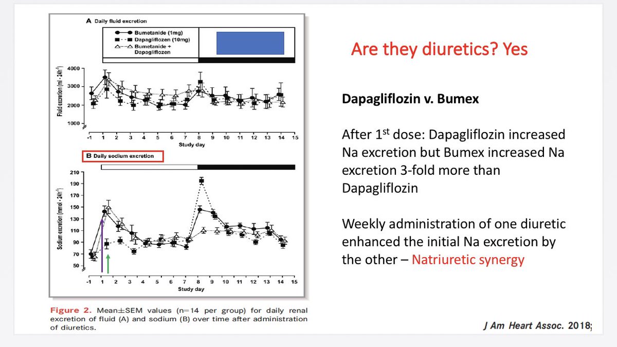 What happens when healthy subjects are given SGLT2i & Loop Diuretics?Randomized to Dapa or Bumex for 7 days7 days later everybody got both diuretics Bumex = 3-fold  natriuresisNatriuretic response was synergistic when both used together21/