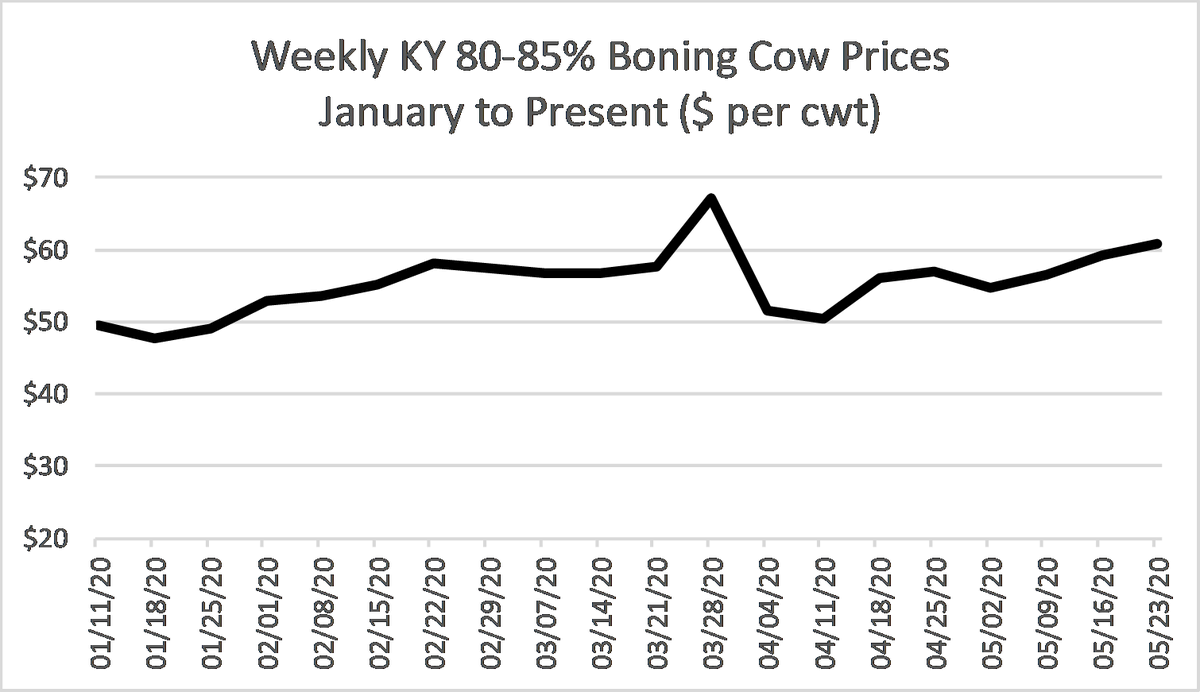 KYCattleEcon's tweet photo. Another week of steady improvement for KY feeder cattle prices. The biggest improvement was again on heavy feeder cattle. Source: @USDA_AMS #KYCattleMarkets https://t.co/xcB2ZeZ9Qu