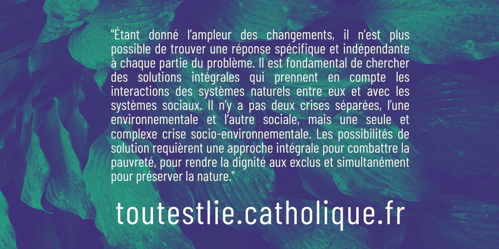 Synode 2017-2018 tweet media