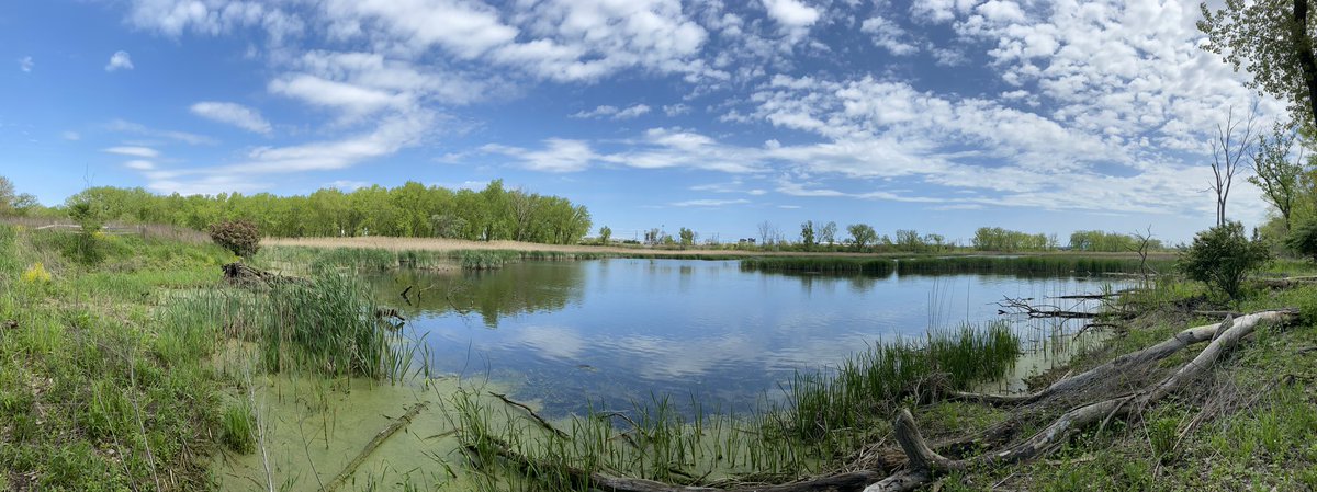 Panorama of Hegewisch Marsh, with the Ford Motor Company's Chicago Assembly Plant in the distance.