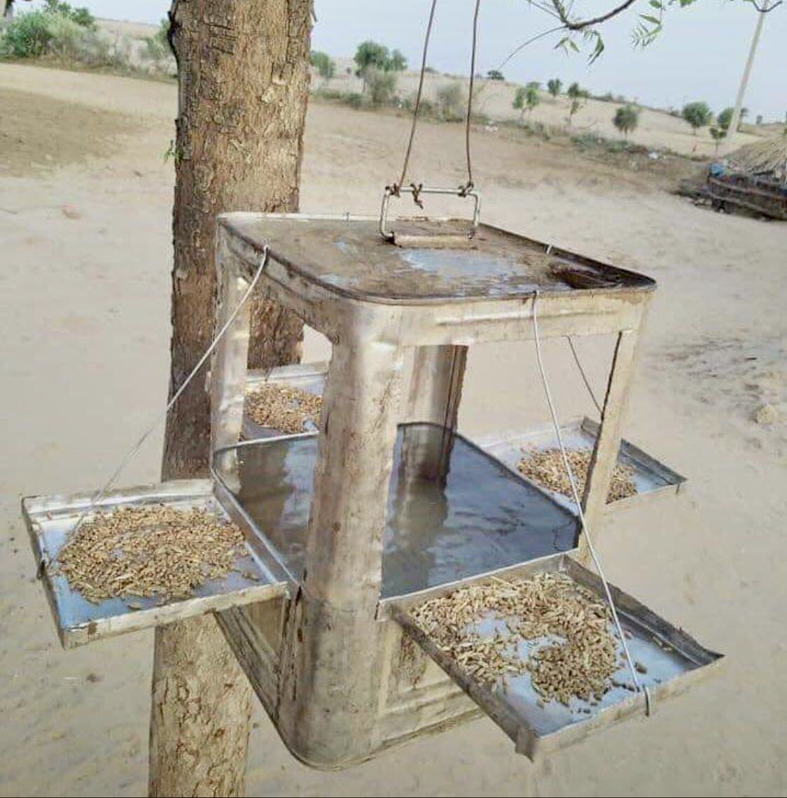 ChaudhryShankar's tweet photo. Happy to see such local innovation for a noble purpose by farmers at a village near Indo-Pak border in Banaskantha, Gujarat. 

Let us all take care of birds in this scorching heat. https://t.co/zhpdQjXUAB
