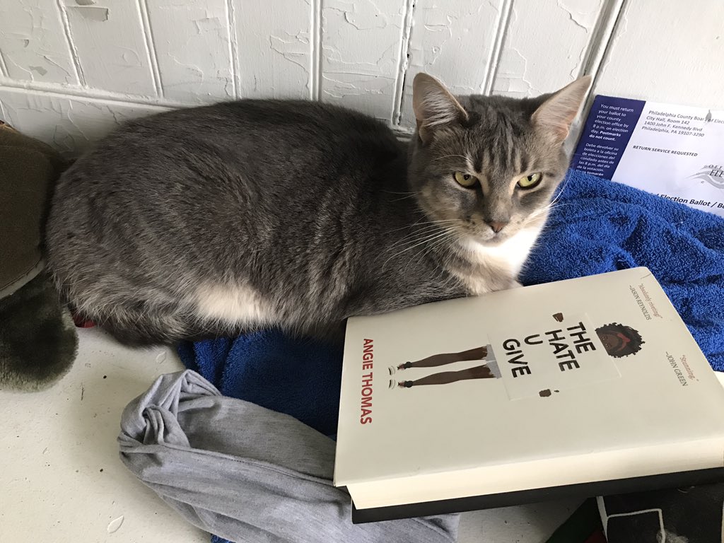 HaverfordLib's tweet photo. Happy Caturday!
What are you reading this weekend?
#myhtfl https://t.co/TSStAoAdkl