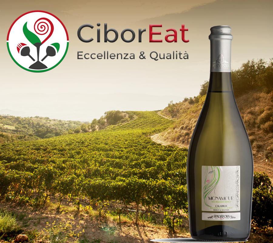CiborEat's tweet photo. Con il caldo un vino bianco fresco è l'ideale. Con le bollicine è ancora meglio. Scoprite su https://t.co/iQ9xqZIXI3 il vino bianco frizzante Monamour delle Cantine Spadafora.
.
#vino #vinobianco #bollicine #prosecco #vinobiancofrizzante #ciboreat #ecommerce https://t.co/guCHT3STvB