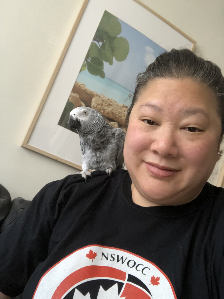 NSWOC's tweet photo. Dogs, cats, or even parrots...all pets are welcome to attend our sessions alongside their #VirtualNSWOC nurses! https://t.co/opCO0DrTZj