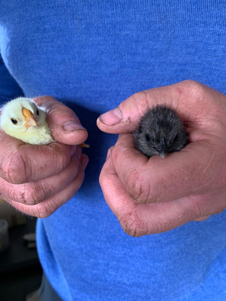 Jamie Donaldson tweet media