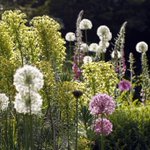 Photo by Mandy Buckland (@greencube_uk)