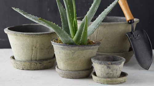 Hi all! We are looking for Partners who help us run Seriously Vegan Network (seriously-vegan.mn.co)

Anybody interested ?