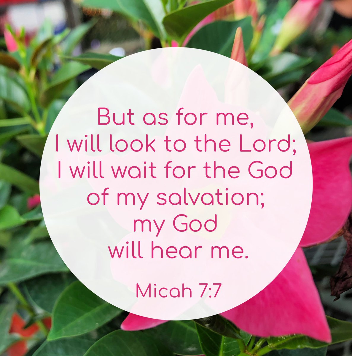 Joy of God (@joyhudie) / Posts / X