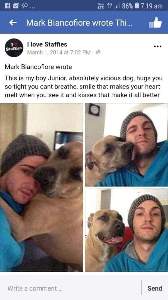 FYourPit's tweet photo. Mark also mockingly called his #pitbull vicious. The same dog later killed his father. #pitbullowners will all claim they have a #harmlesspitbull, until they say it goes full pit. They’ll mock the dead and the mutilated to do it. Never trust a #pitbulladvocate. #banpitbulls https://t.co/6ppujimy7w