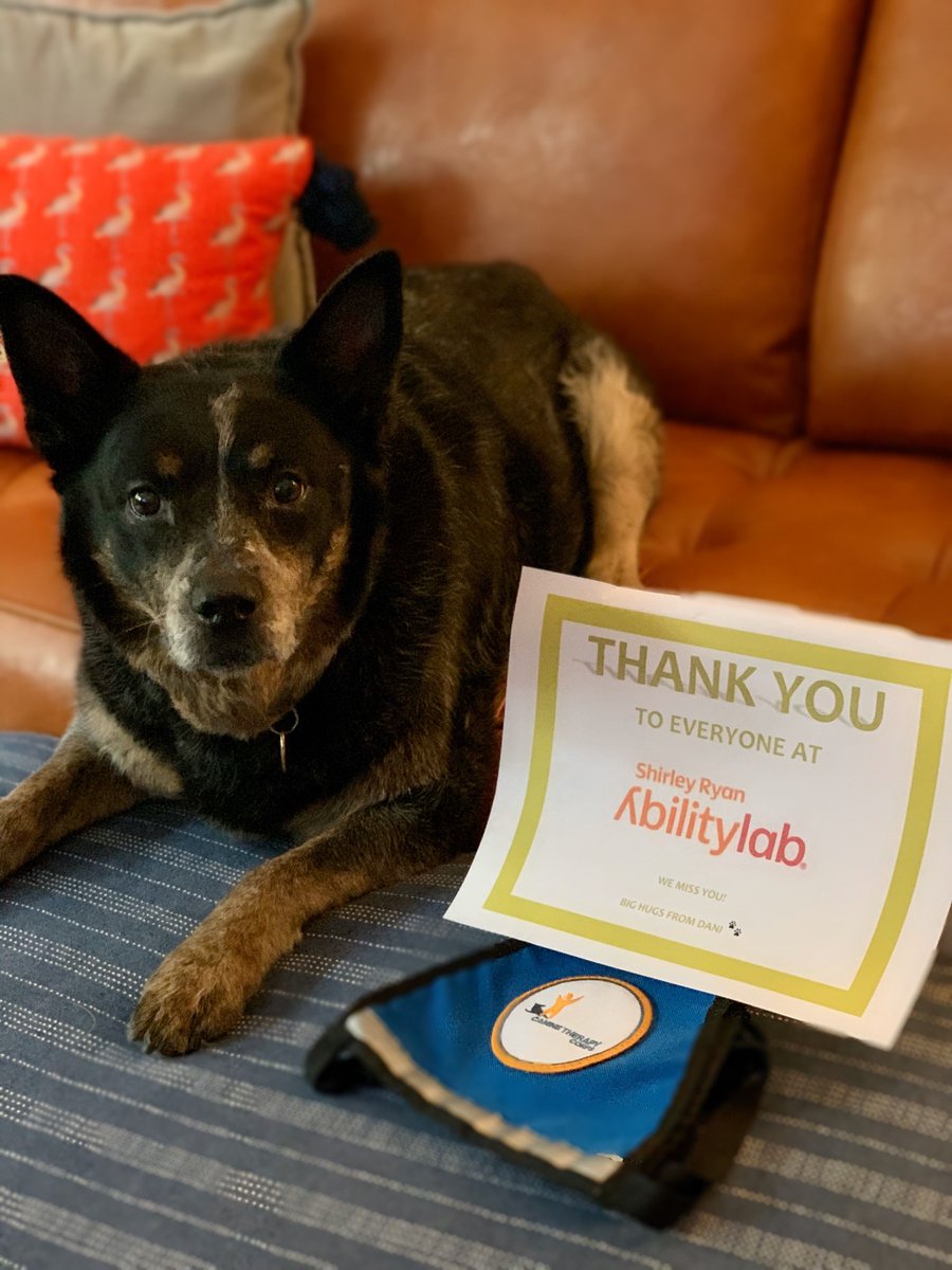 CTCorps's tweet photo. We host a program at @AbilityLab for individuals recovering from spinal cord injuries, traumatic brain injuries, burns and other physical trauma. Please join the amazing therapy dogs who work in this program in thanking the staff for continuing to help others during the pandemic! https://t.co/0zOeYyK7O2