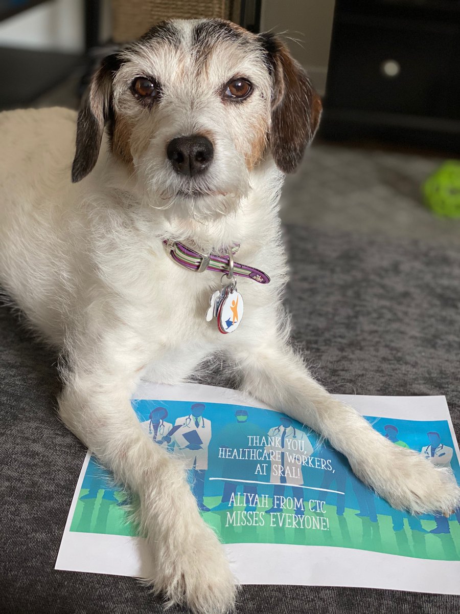 CTCorps's tweet photo. We host a program at @AbilityLab for individuals recovering from spinal cord injuries, traumatic brain injuries, burns and other physical trauma. Please join the amazing therapy dogs who work in this program in thanking the staff for continuing to help others during the pandemic! https://t.co/0zOeYyK7O2