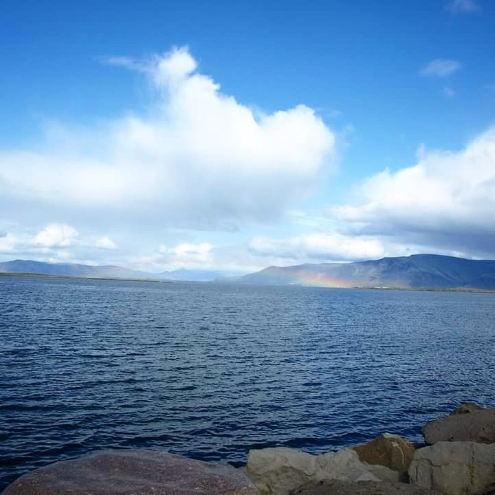 Two weeks before the new episode is out ! This picture describes it a bit 🌈