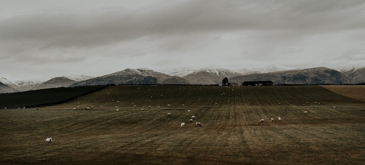 Abe Lopez tweet media