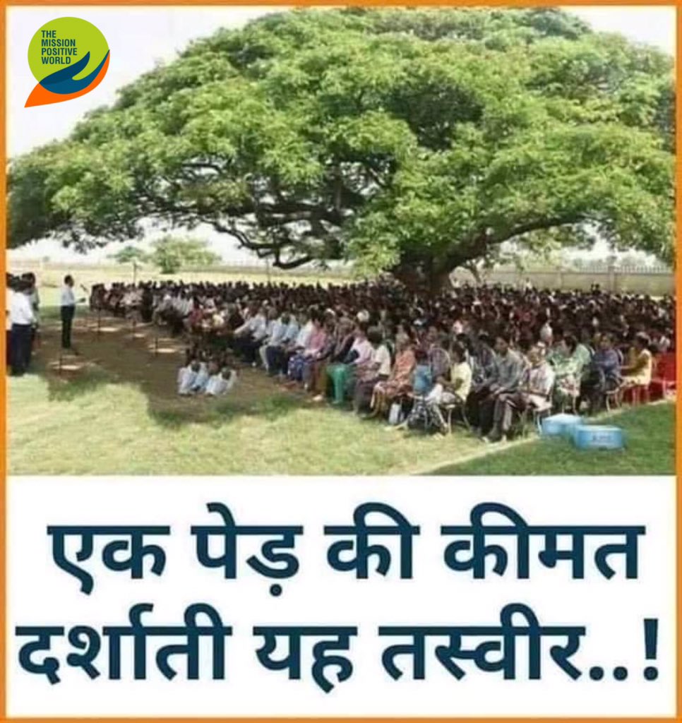 theMPWmission's tweet photo. #savetrees #saveenvirement #themissionpositiveworld https://t.co/9DSB7zO8nz