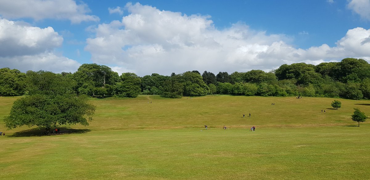 Out again. This border collie needs a lot of walking, luckily  @WarleyWoods1 is on my doorstep and it's all pretty.