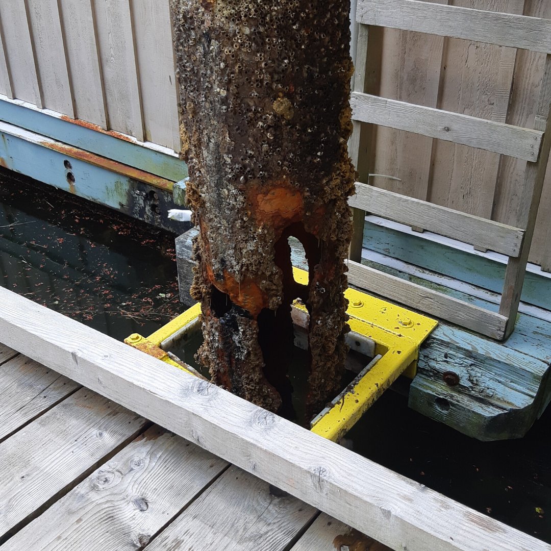 PCUWC's tweet photo. This past week the Salish Sea Industries crew completed the replacement of the #pilings around our #floatingbuilding. They safely completed the assignment with precision & attention to detail under some very challenging circumstances. #Safetyfirst #maintenance #repairs #gratitude https://t.co/j8L2rVB5UO