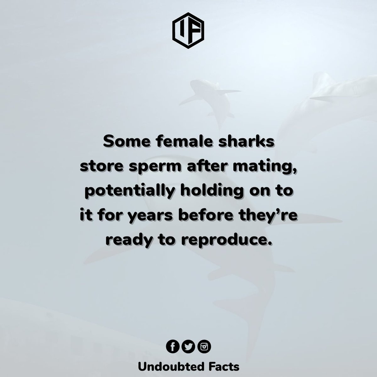 undoubtedfacts's tweet photo. Did you know?
Follow (@UndoubtedFacts) for more incredible facts..
.
.
#fun #funfact #model #socialenvy #wearabletherapy #food #smile #diy #didyouknow #brain #lol #wtf #fact #sunset #swag #throwbackthursday #instagood #facts #friends #nike #funny #blue #factsonly #realshit #photo https://t.co/vhMku7LrOr