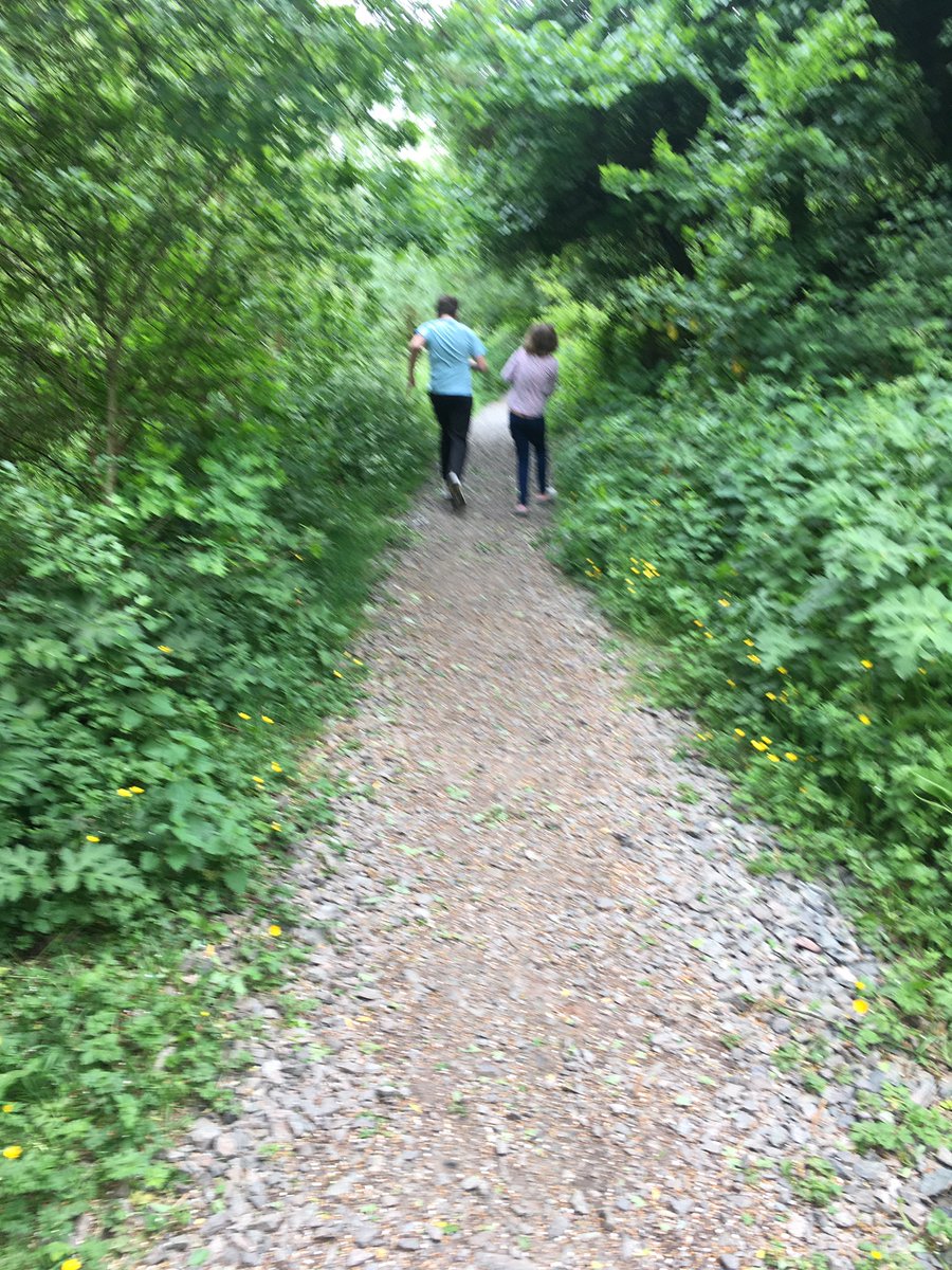 illdoitanyway's tweet photo. #Buckpool nature reserve - a bit like the evergreen forest but with Lockleys instead of racoons ๐ณ https://t.co/p4SjgHkIGc