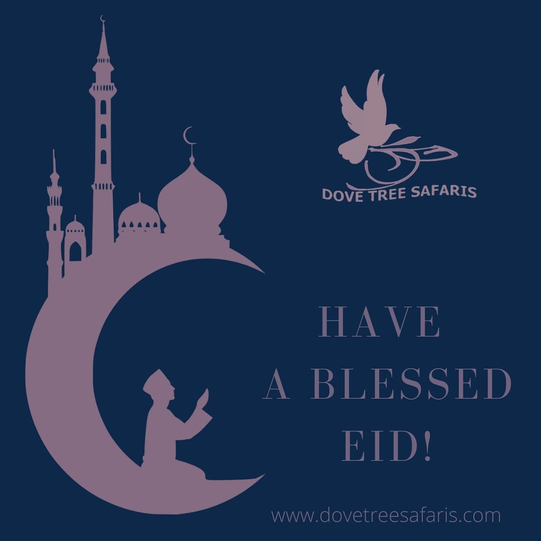 Dove Tree Safaris joins it's Moslem friends and family to celebrate a blessed Eid. Blessed Eid to everyone!

#EidMubarak #EidUlFitr #EidAtHome #goodtogether #Prayers #family #familyprayer  #Friendships #Mecca #Inshallah #Allah #bismillah #Blessings